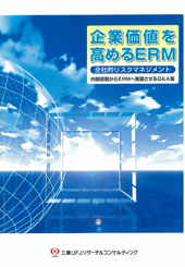 企業価値を高めるERM 全社的リスクマネジメント 内部統制からERMへ発展させるQ&A 企業価値を高めるERM 全社的リスクマネジメント 内部統制からERMへ発展させるQ&A