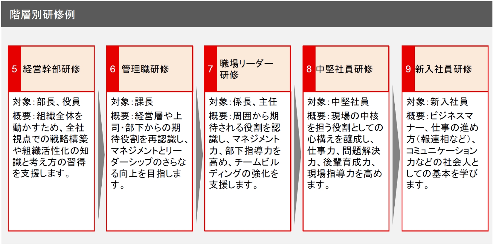 階層別教育