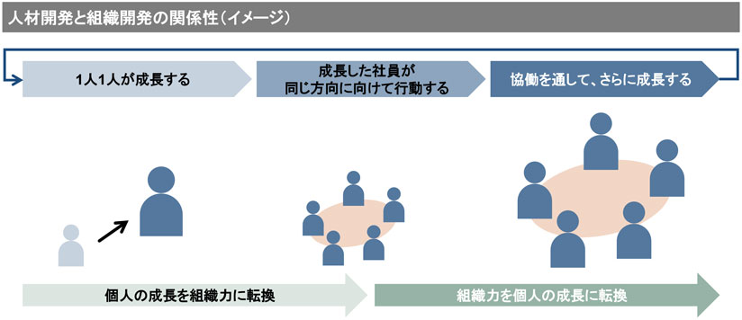 図　人材開発と組織開発の関係性