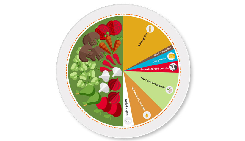 円グラフ　地球を健康にする食事法における食事バランス