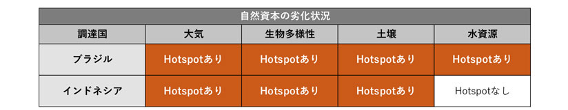 表　TNFDが提案する自然資本