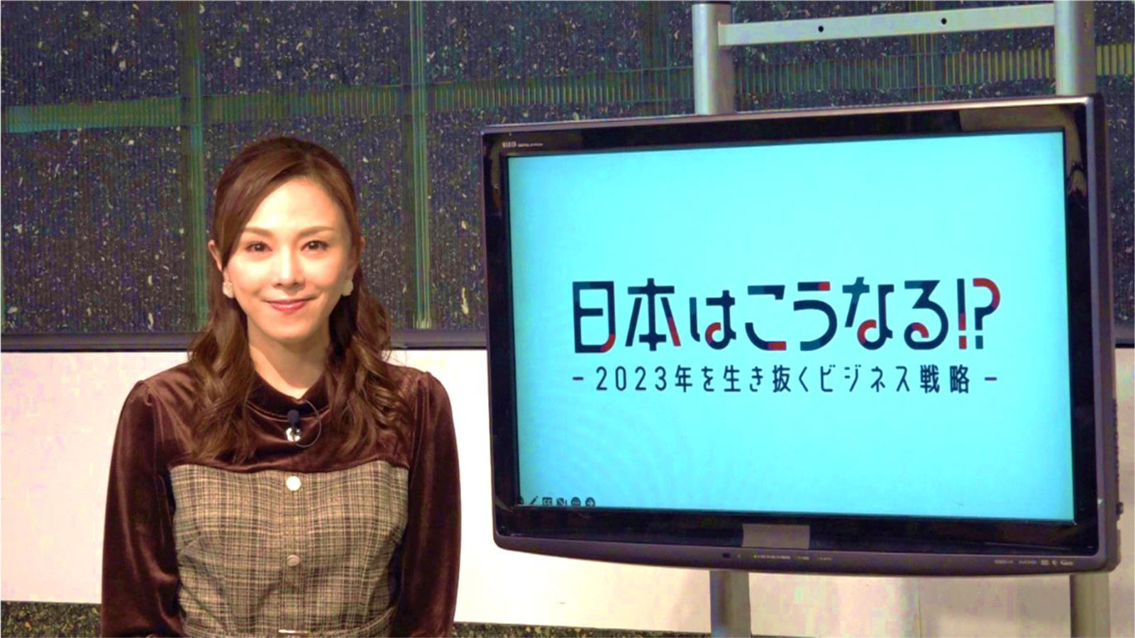 画像　特別番組「日本はこうなる!?～2023年を生き抜くビジネス戦略～