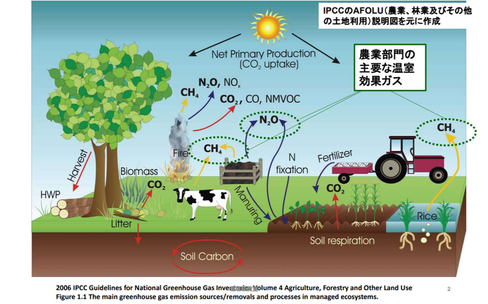HIV-1は治療できるのでしょうか?